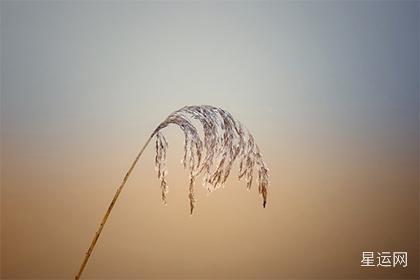 问：戊土生于寅月透甲木好不好？